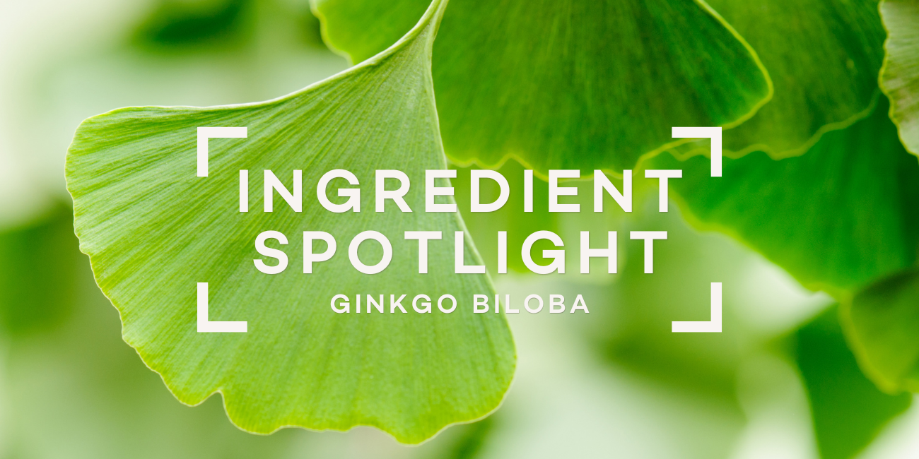 ginkgo-biloba-ingredient-spotlight
